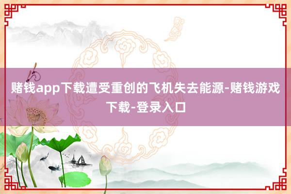 赌钱app下载遭受重创的飞机失去能源-赌钱游戏下载-登录入口
