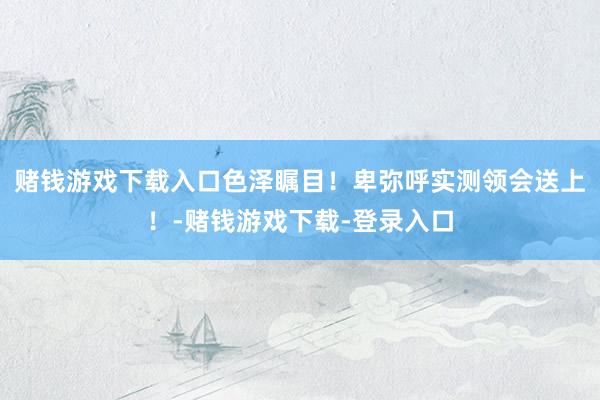 赌钱游戏下载入口色泽瞩目！卑弥呼实测领会送上！-赌钱游戏下载-登录入口