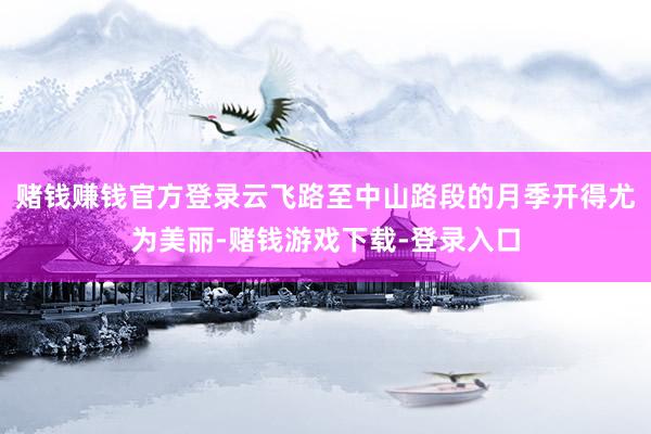 赌钱赚钱官方登录云飞路至中山路段的月季开得尤为美丽-赌钱游戏下载-登录入口