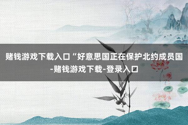 赌钱游戏下载入口“好意思国正在保护北约成员国-赌钱游戏下载-登录入口
