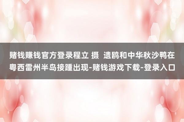 赌钱赚钱官方登录程立 摄  遗鸥和中华秋沙鸭在粤西雷州半岛接踵出现-赌钱游戏下载-登录入口